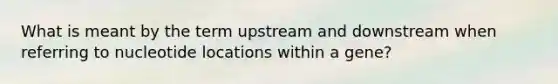 What is meant by the term upstream and downstream when referring to nucleotide locations within a gene?