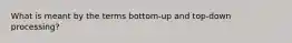 What is meant by the terms bottom-up and top-down processing?