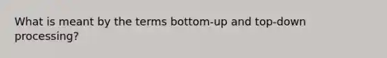 What is meant by the terms bottom-up and top-down processing?