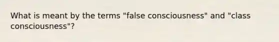 What is meant by the terms "false consciousness" and "class consciousness"?