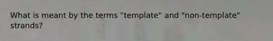 What is meant by the terms "template" and "non-template" strands?