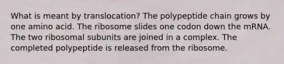 What is meant by translocation? The polypeptide chain grows by one amino acid. The ribosome slides one codon down the mRNA. The two ribosomal subunits are joined in a complex. The completed polypeptide is released from the ribosome.