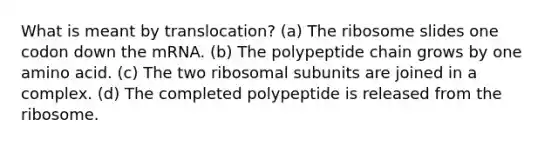 What is meant by translocation? (a) The ribosome slides one codon down the mRNA. (b) The polypeptide chain grows by one amino acid. (c) The two ribosomal subunits are joined in a complex. (d) The completed polypeptide is released from the ribosome.