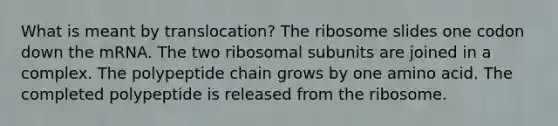 What is meant by translocation? The ribosome slides one codon down the mRNA. The two ribosomal subunits are joined in a complex. The polypeptide chain grows by one amino acid. The completed polypeptide is released from the ribosome.