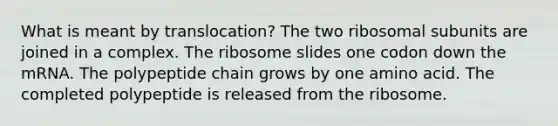 What is meant by translocation? The two ribosomal subunits are joined in a complex. The ribosome slides one codon down the mRNA. The polypeptide chain grows by one amino acid. The completed polypeptide is released from the ribosome.