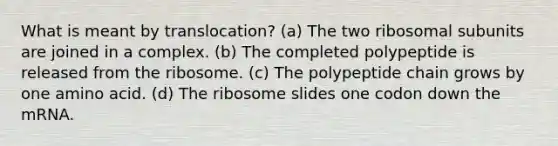 What is meant by translocation? (a) The two ribosomal subunits are joined in a complex. (b) The completed polypeptide is released from the ribosome. (c) The polypeptide chain grows by one amino acid. (d) The ribosome slides one codon down the mRNA.