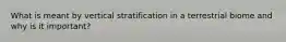 What is meant by vertical stratification in a terrestrial biome and why is it important?