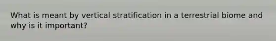 What is meant by vertical stratification in a terrestrial biome and why is it important?