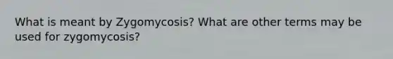 What is meant by Zygomycosis? What are other terms may be used for zygomycosis?