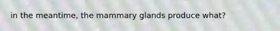 in the meantime, the mammary glands produce what?