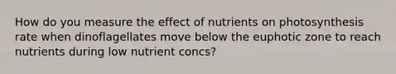 How do you measure the effect of nutrients on photosynthesis rate when dinoflagellates move below the euphotic zone to reach nutrients during low nutrient concs?