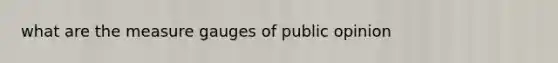 what are the measure gauges of public opinion