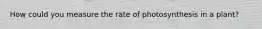 How could you measure the rate of photosynthesis in a plant?