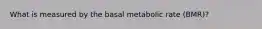 What is measured by the basal metabolic rate (BMR)?