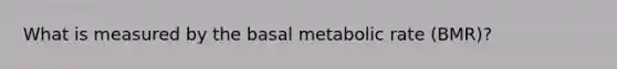 What is measured by the basal metabolic rate (BMR)?