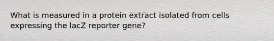 What is measured in a protein extract isolated from cells expressing the lacZ reporter gene?