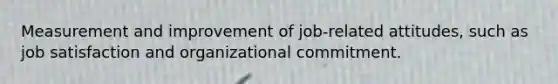 Measurement and improvement of job-related attitudes, such as job satisfaction and organizational commitment.