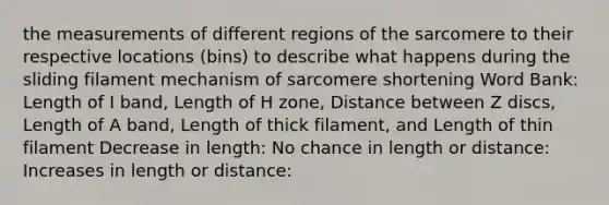 the measurements of different regions of the sarcomere to their respective locations (bins) to describe what happens during the sliding filament mechanism of sarcomere shortening Word Bank: Length of I band, Length of H zone, Distance between Z discs, Length of A band, Length of thick filament, and Length of thin filament Decrease in length: No chance in length or distance: Increases in length or distance: