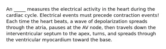 An _____ measures the electrical activity in the heart during the cardiac cycle. Electrical events must precede contraction events! Each time the heart beats, a wave of depolarization spreads through the atria, pauses at the AV node, then travels down the interventricular septum to the apex, turns, and spreads through the ventricular myocardium toward the base.