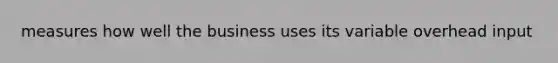 measures how well the business uses its variable overhead input