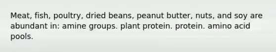 Meat, fish, poultry, dried beans, peanut butter, nuts, and soy are abundant in: amine groups. plant protein. protein. amino acid pools.