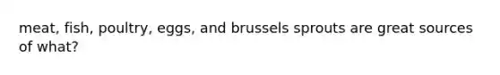 meat, fish, poultry, eggs, and brussels sprouts are great sources of what?