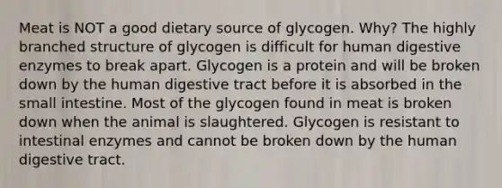 Meat is NOT a good dietary source of glycogen. Why? The highly branched structure of glycogen is difficult for human digestive enzymes to break apart. Glycogen is a protein and will be broken down by the human digestive tract before it is absorbed in the small intestine. Most of the glycogen found in meat is broken down when the animal is slaughtered. Glycogen is resistant to intestinal enzymes and cannot be broken down by the human digestive tract.