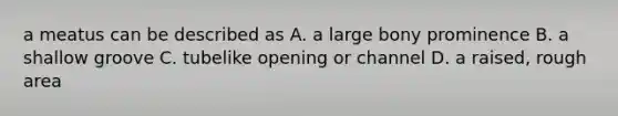 a meatus can be described as A. a large bony prominence B. a shallow groove C. tubelike opening or channel D. a raised, rough area