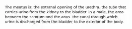 The meatus is: the external opening of the urethra. the tube that carries urine from the kidney to the bladder. in a male, the area between the scrotum and the anus. the canal through which urine is discharged from the bladder to the exterior of the body.