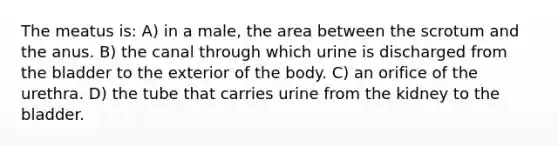 The meatus is: A) in a male, the area between the scrotum and the anus. B) the canal through which urine is discharged from the bladder to the exterior of the body. C) an orifice of the urethra. D) the tube that carries urine from the kidney to the bladder.