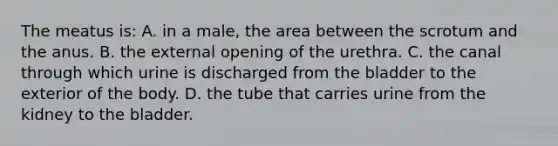 The meatus​ is: A. in a​ male, the area between the scrotum and the anus. B. the external opening of the urethra. C. the canal through which urine is discharged from the bladder to the exterior of the body. D. the tube that carries urine from the kidney to the bladder.