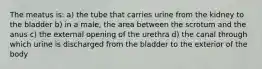 The meatus​ is: a) the tube that carries urine from the kidney to the bladder b) in a​ male, the area between the scrotum and the anus c) the external opening of the urethra d) the canal through which urine is discharged from the bladder to the exterior of the body