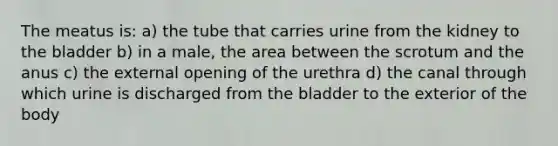 The meatus​ is: a) the tube that carries urine from the kidney to the bladder b) in a​ male, the area between the scrotum and the anus c) the external opening of the urethra d) the canal through which urine is discharged from the bladder to the exterior of the body