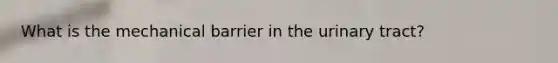 What is the mechanical barrier in the urinary tract?