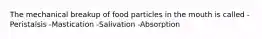 The mechanical breakup of food particles in the mouth is called -Peristalsis -Mastication -Salivation -Absorption