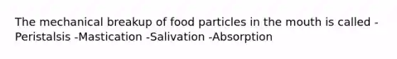 The mechanical breakup of food particles in the mouth is called -Peristalsis -Mastication -Salivation -Absorption