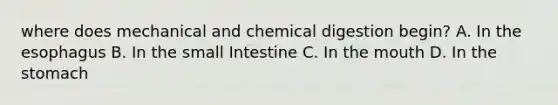 where does mechanical and chemical digestion begin? A. In <a href='https://www.questionai.com/knowledge/kSjVhaa9qF-the-esophagus' class='anchor-knowledge'>the esophagus</a> B. In the small Intestine C. In <a href='https://www.questionai.com/knowledge/krBoWYDU6j-the-mouth' class='anchor-knowledge'>the mouth</a> D. In <a href='https://www.questionai.com/knowledge/kLccSGjkt8-the-stomach' class='anchor-knowledge'>the stomach</a>