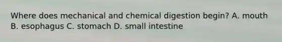 Where does mechanical and chemical digestion begin? A. mouth B. esophagus C. stomach D. small intestine