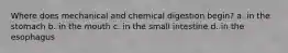 Where does mechanical and chemical digestion begin? a. in the stomach b. in the mouth c. in the small intestine d. in the esophagus