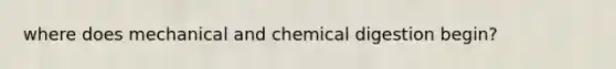 where does mechanical and chemical digestion begin?