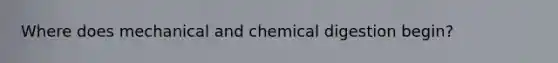 Where does mechanical and chemical digestion begin?