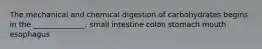 The mechanical and chemical digestion of carbohydrates begins in the ______________. small intestine colon stomach mouth esophagus