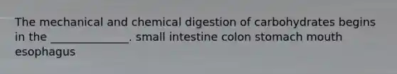 The mechanical and chemical digestion of carbohydrates begins in the ______________. small intestine colon stomach mouth esophagus