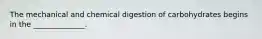 The mechanical and chemical digestion of carbohydrates begins in the ______________.