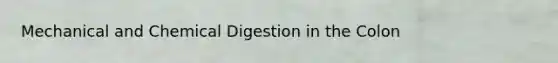 Mechanical and Chemical Digestion in the Colon