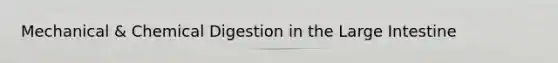 Mechanical & Chemical Digestion in the Large Intestine