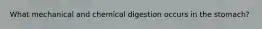 What mechanical and chemical digestion occurs in the stomach?