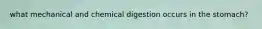 what mechanical and chemical digestion occurs in the stomach?