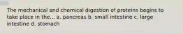 The mechanical and chemical digestion of proteins begins to take place in the... a. pancreas b. small intestine c. large intestine d. stomach