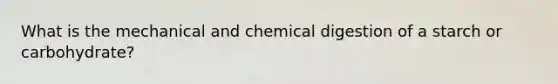 What is the mechanical and chemical digestion of a starch or carbohydrate?